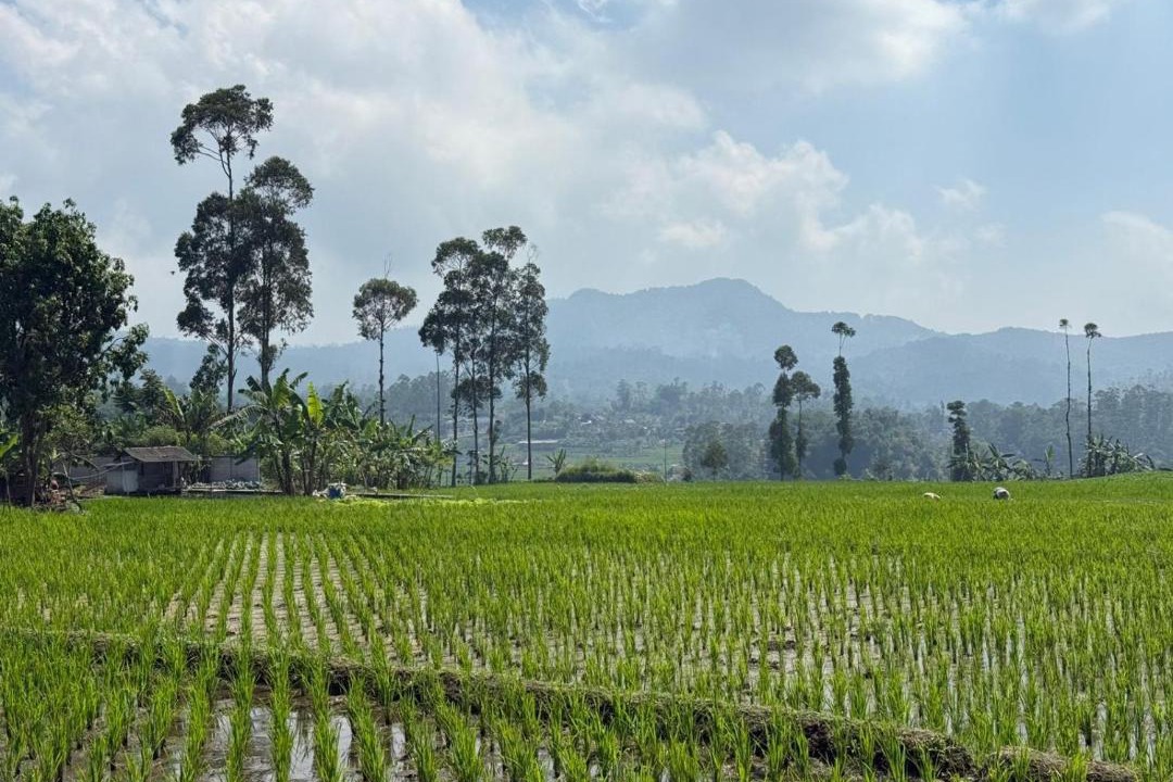 Photo of Others in Ciwidey