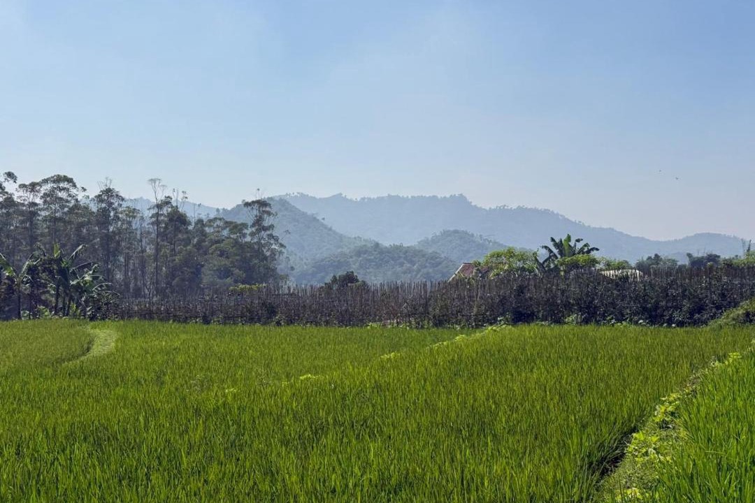 Photo of Others in Ciwidey