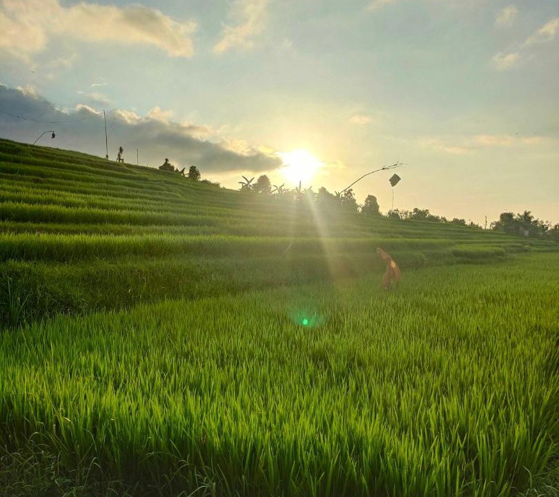 Photo of Others in Sukasada