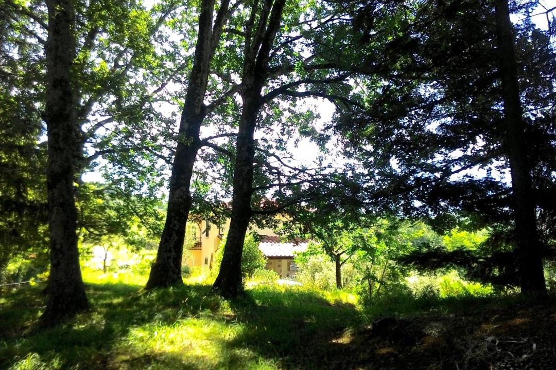 Photo of Others in San Terenzo Monti