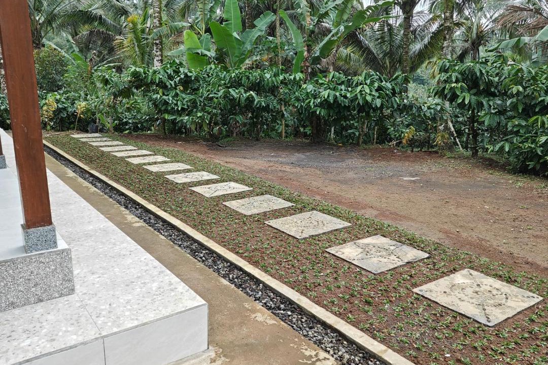 Photo of Outdoor in Selemadeg