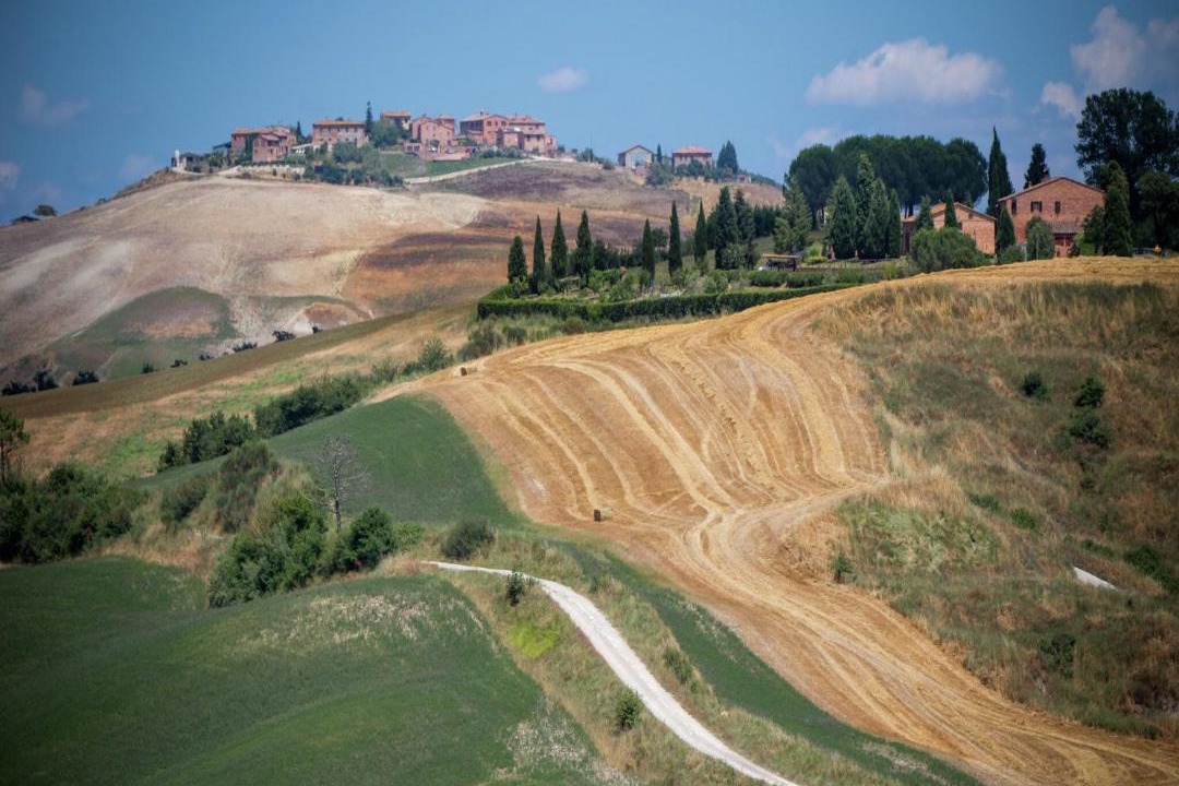 Photo of Others in Sovicille