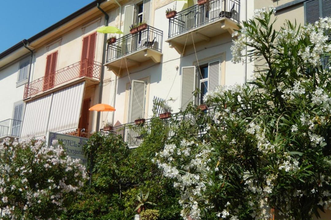 Photo of Others in Viareggio