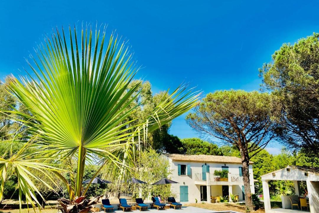Photo of Others in Saint-Tropez