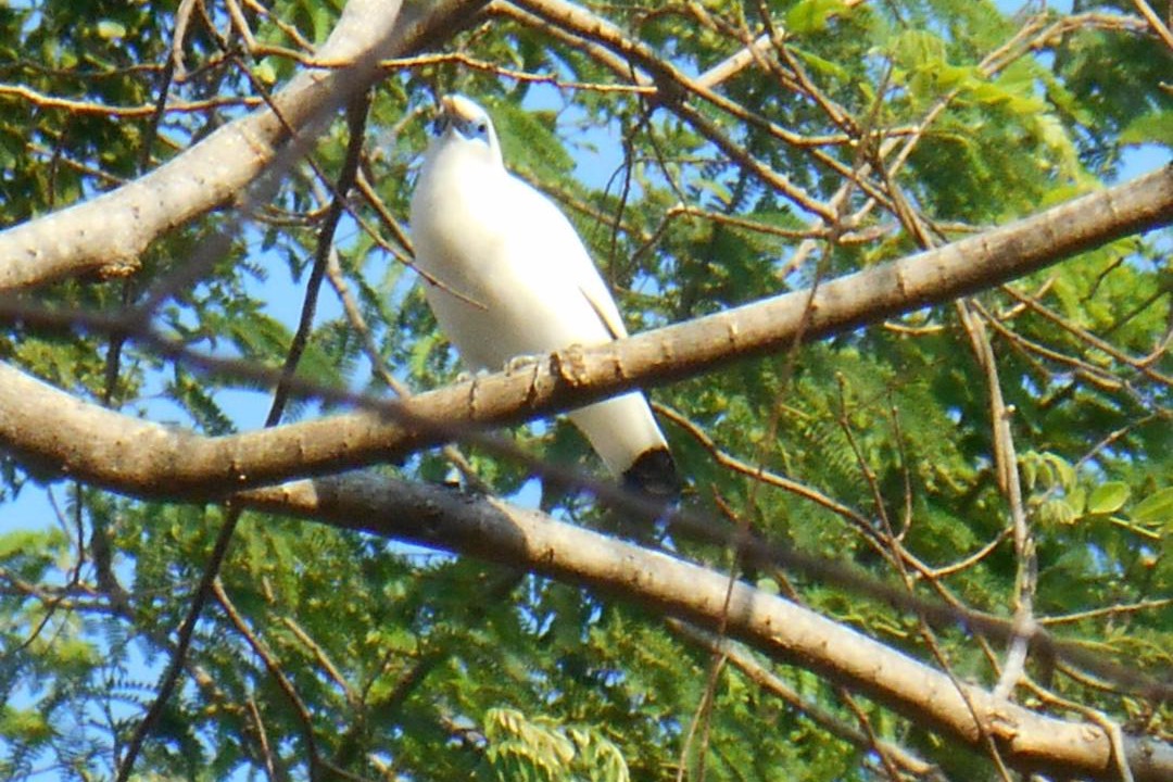 Photo of Others in Pejarakan