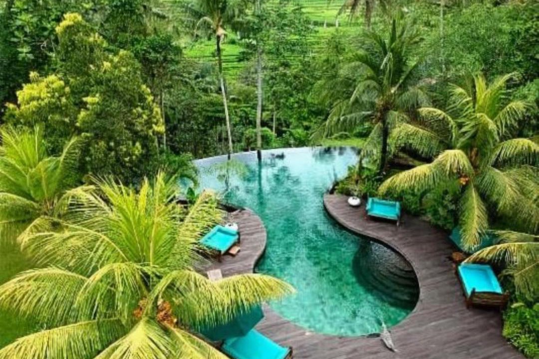 Photo of Others in Ubud
