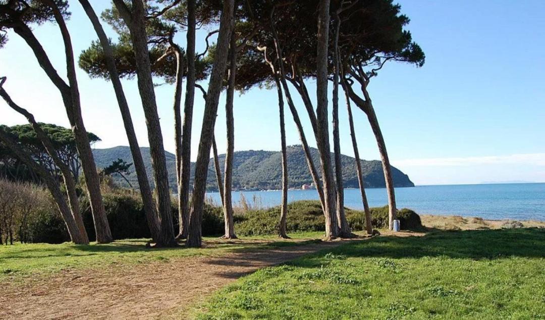 Photo of Others in Piombino