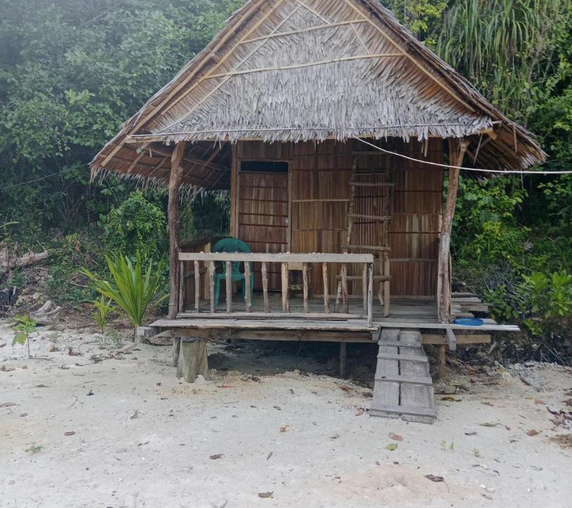 Photo of Others in Pianemo Islands