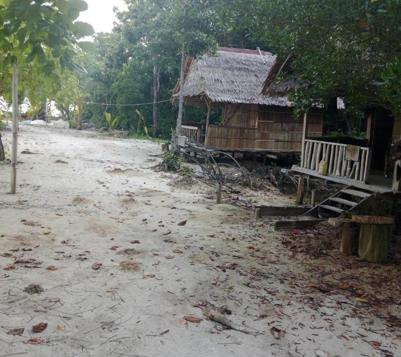 Photo of Others in Pianemo Islands