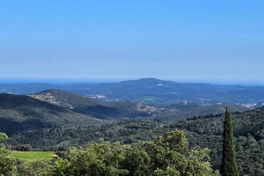 Photo of Others in La Garde-Freinet