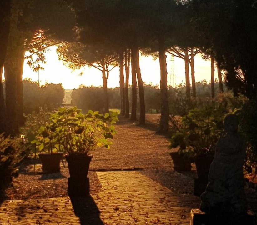 Photo of Others in Rosignano Marittimo