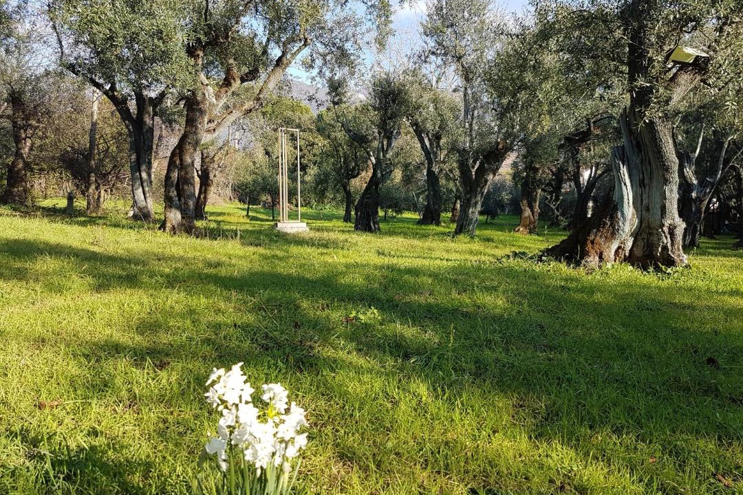 Photo of Outdoor in Querceta