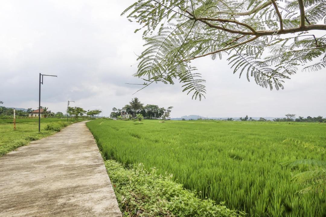 Photo of Others in Bandungan