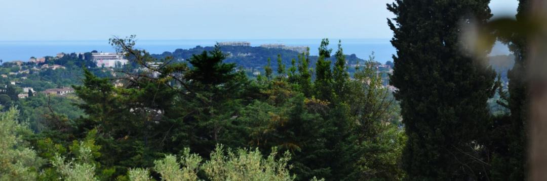 Photo of Others in Saint-Paul-de-Vence