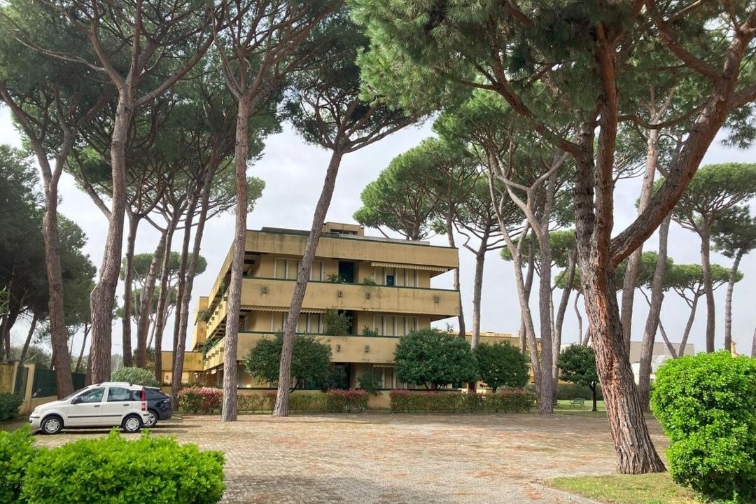 Photo of Others in Cinquale