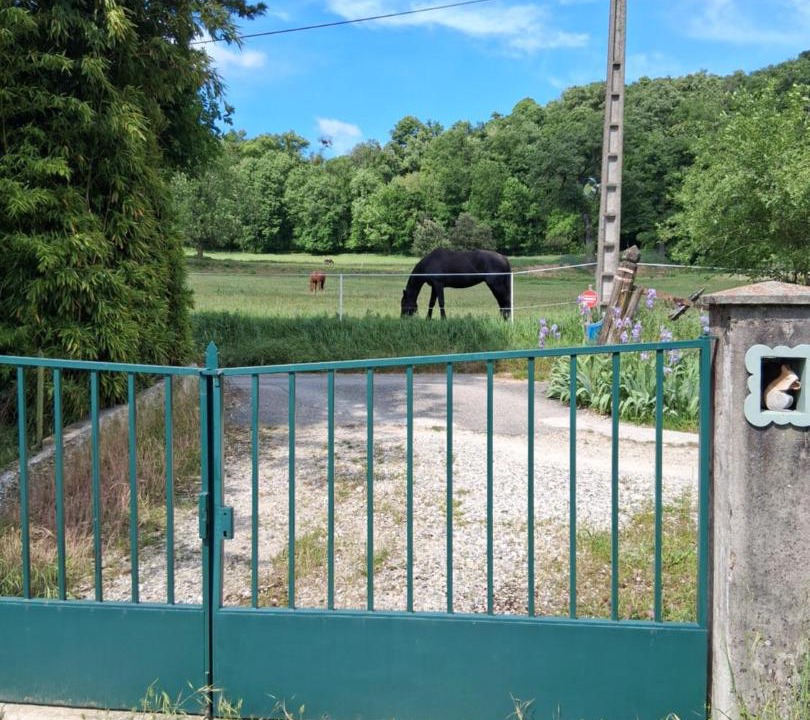 Photo of Others in Roquefort-les-Pins