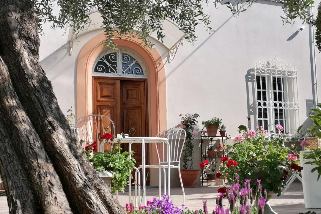 Photo of Others in Lucca Historical Center