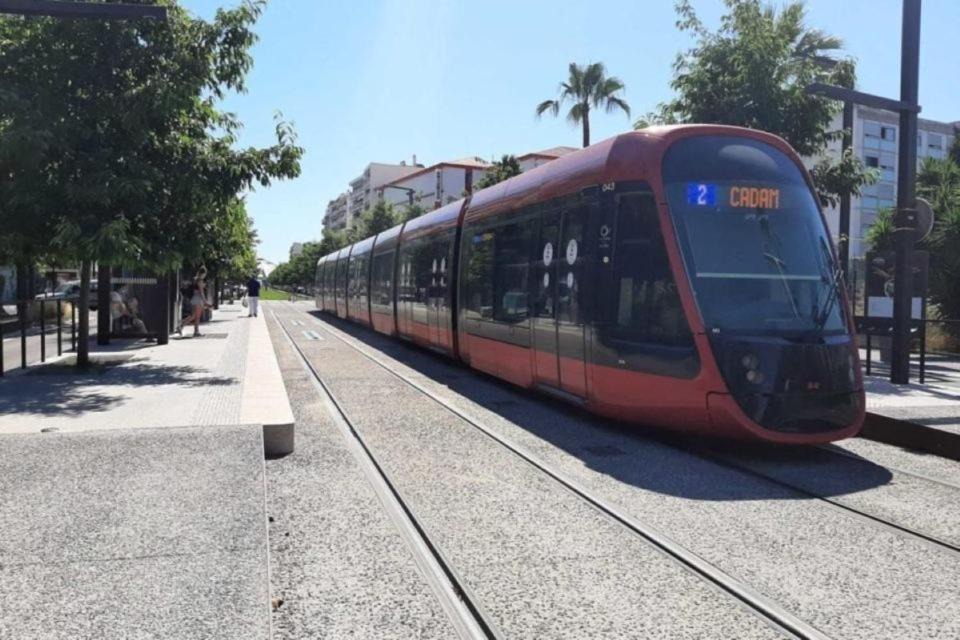 Photo of Others in Saint-Sylvestre