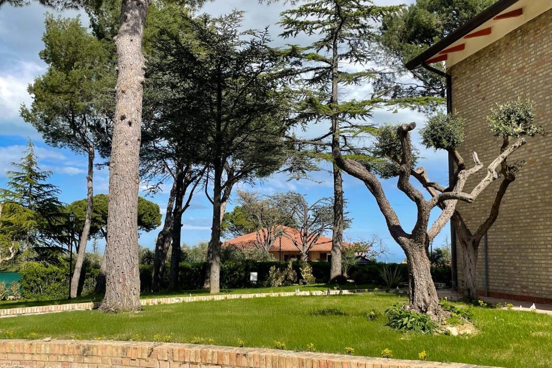 Photo of Others in Potenza Picena