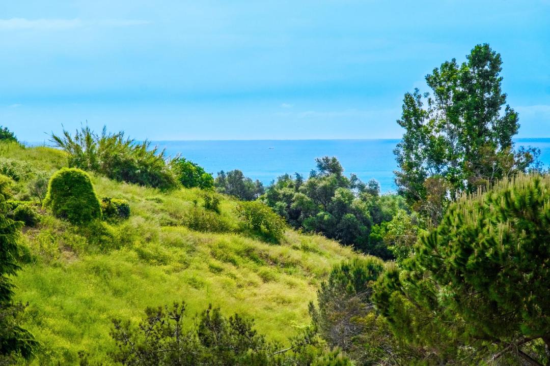 Photo of Others in Villeneuve-Loubet