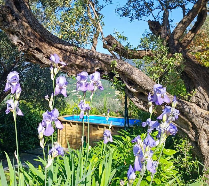 Photo of Outdoor in Fayence