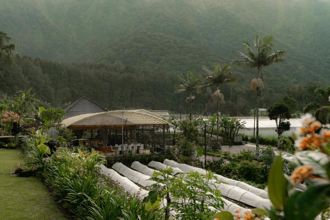 Photo of Others in Candikuning