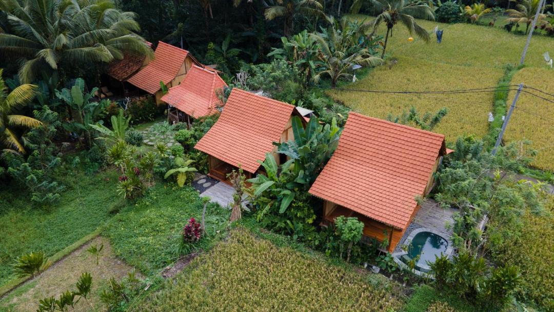 Photo of Others in Payangan