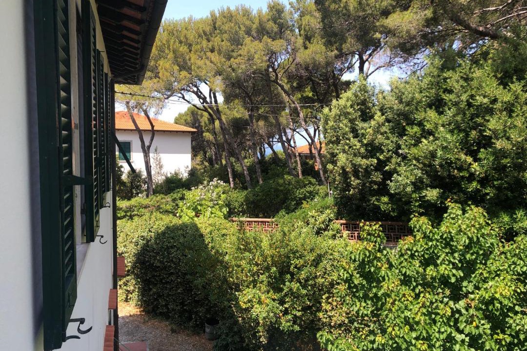 Photo of Others in Castiglioncello