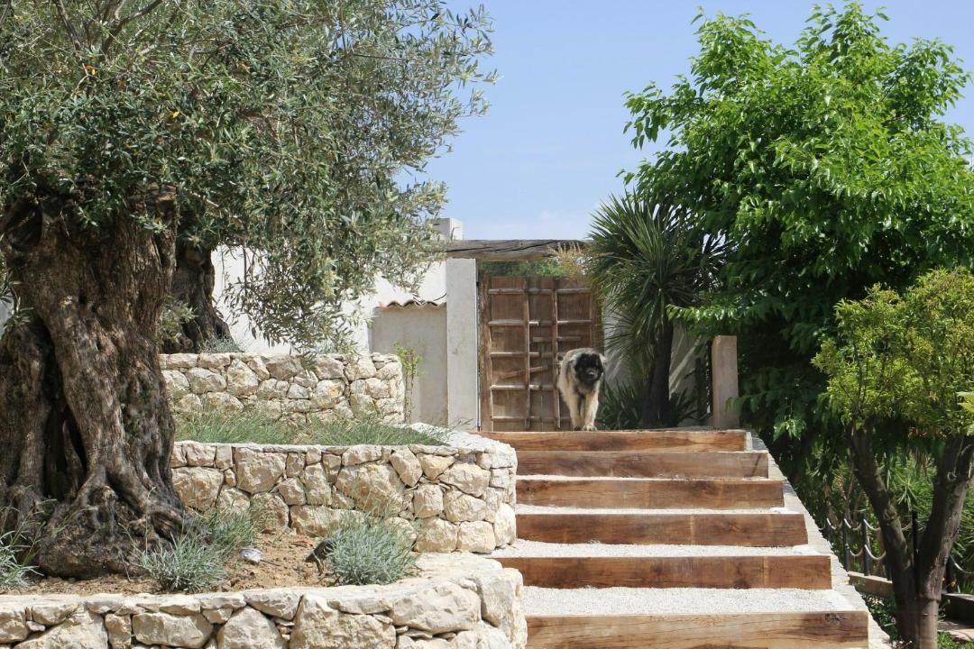 Photo of Others in Saint-Paul-de-Vence