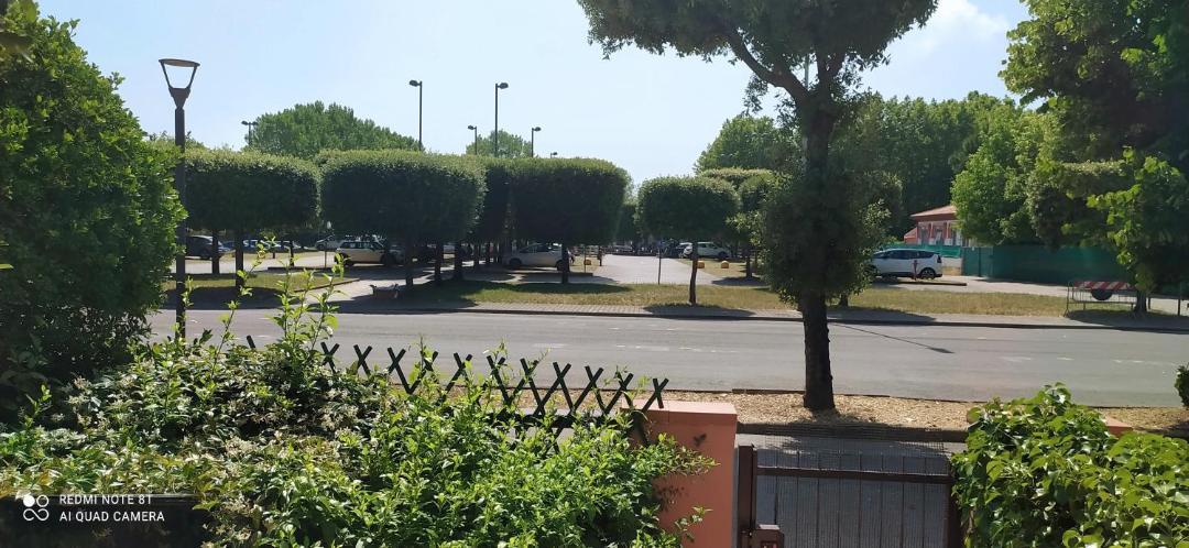 Photo of Others in Torre del Lago Puccini