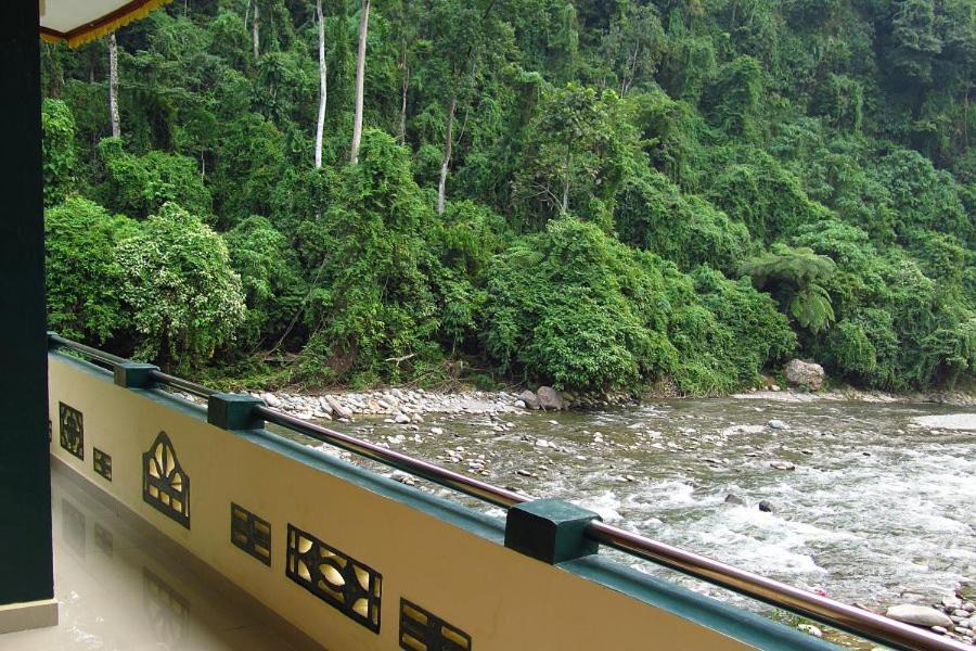 Photo of Others in Bukit Lawang
