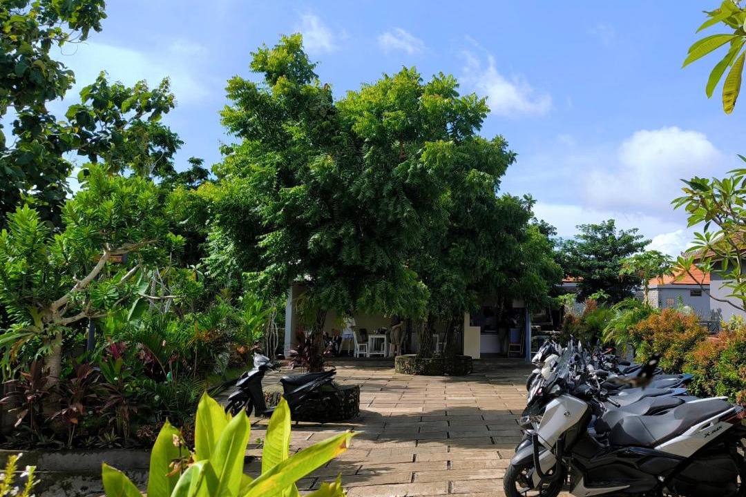 Photo of Others in Kutuh