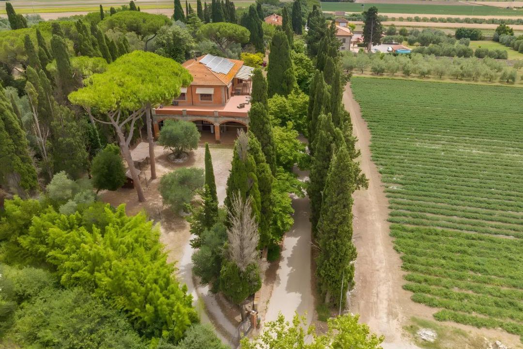 Photo of Others in Campiglia Marittima