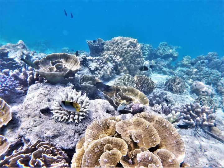 Photo of Others in Kepulauan Banyak
