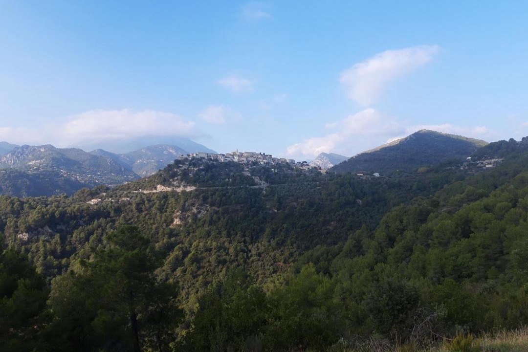 Photo of Others in Saint-Martin-du-Var