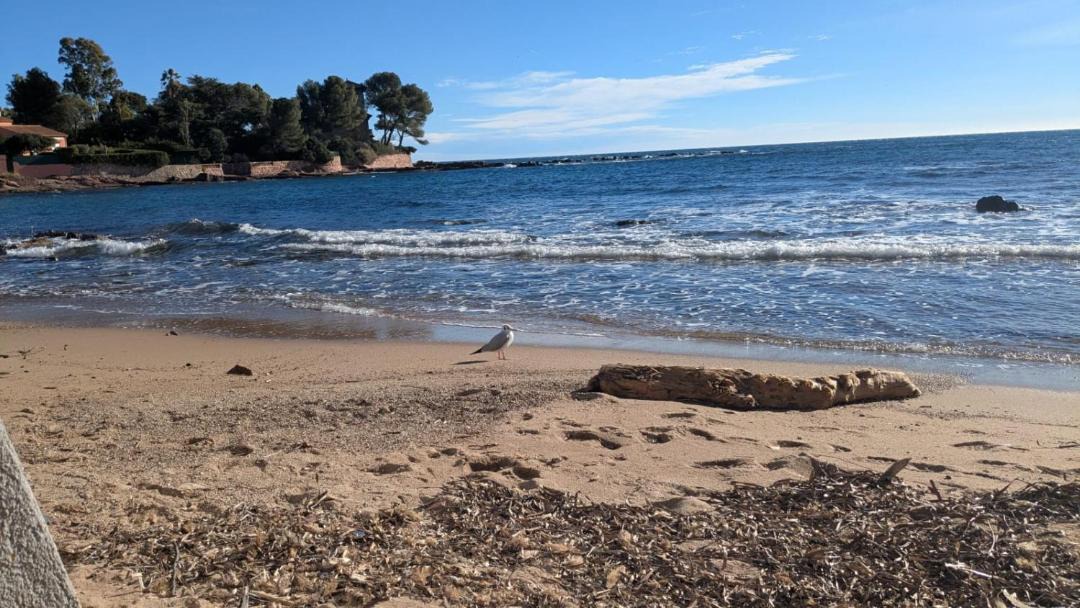 Photo of Others in Boulouris-sur-Mer