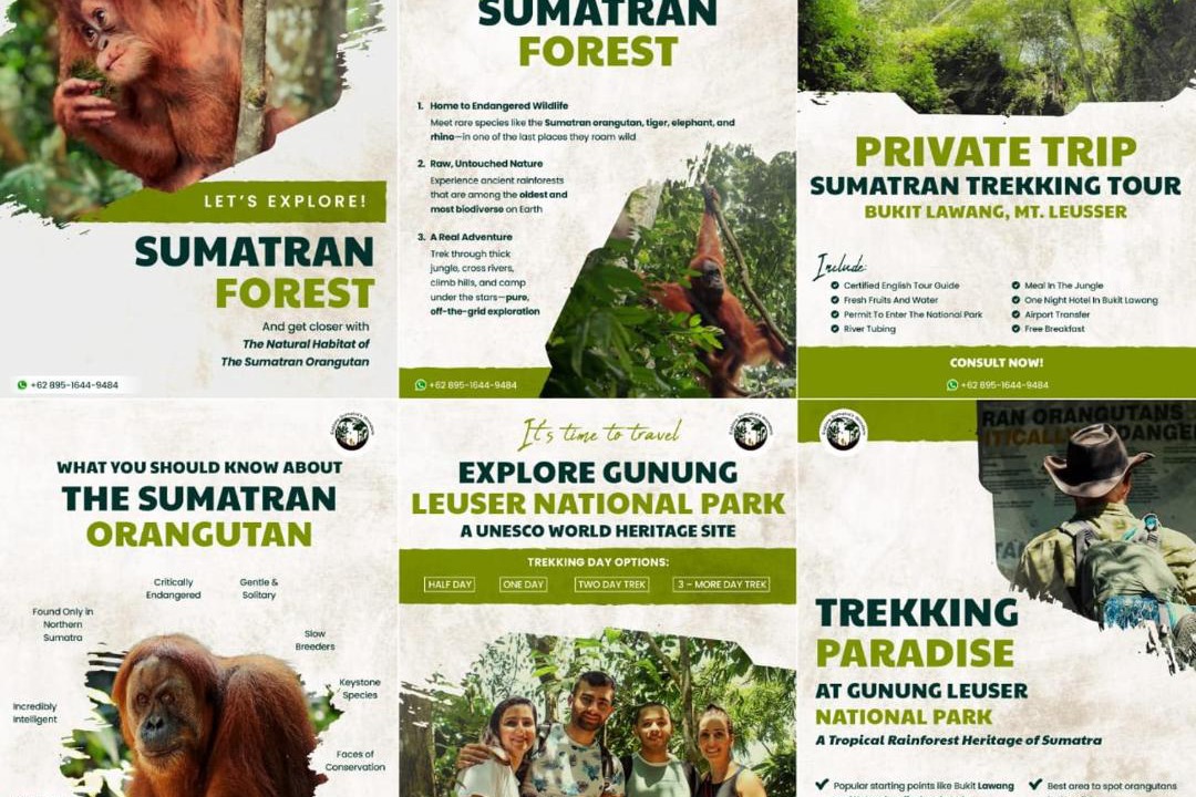 Photo of Others in Bukit Lawang