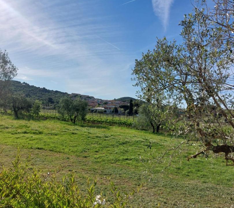 Photo of Others in Riotorto