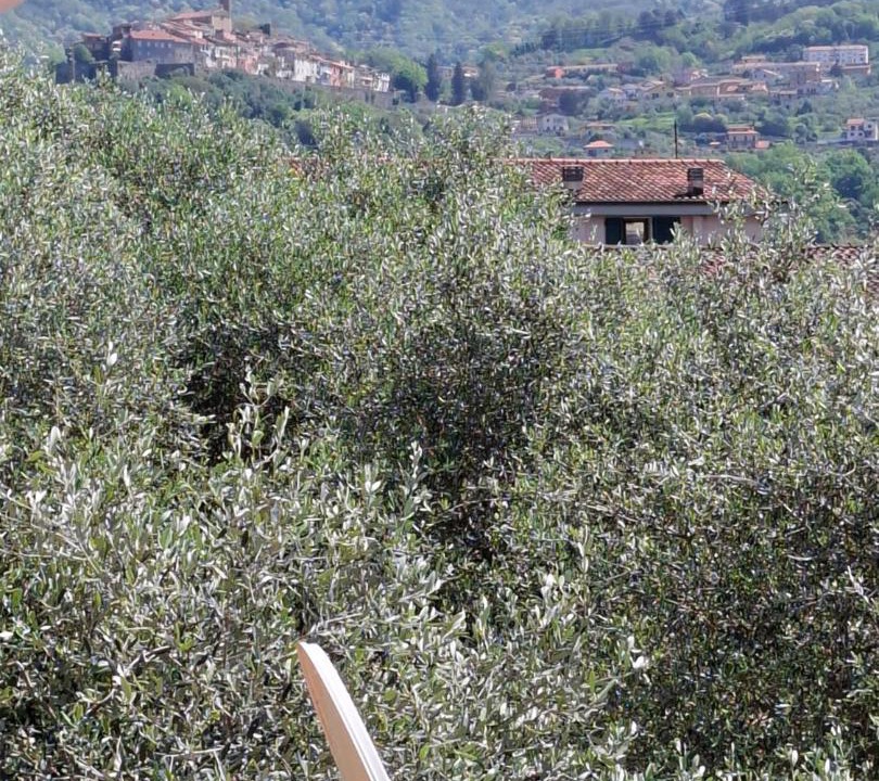 Photo of Others in Albiano Magra
