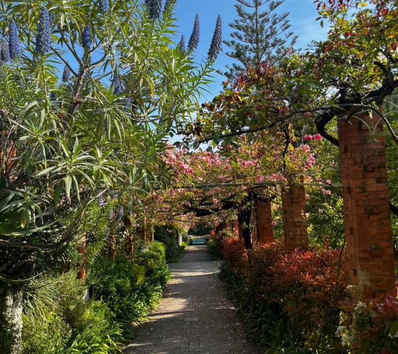 Photo of Outdoor in Menton