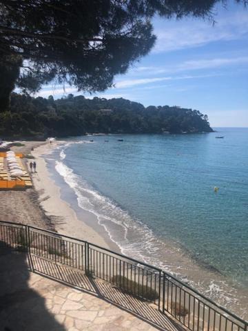 Photo of Others in Rayol-Canadel-sur-Mer