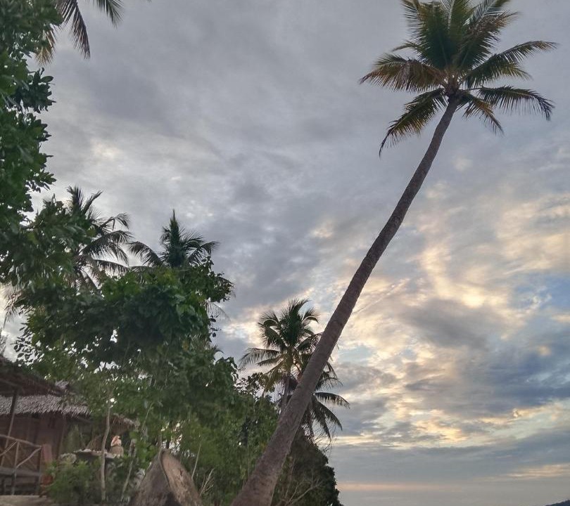 Photo of Others in Pulau Fam