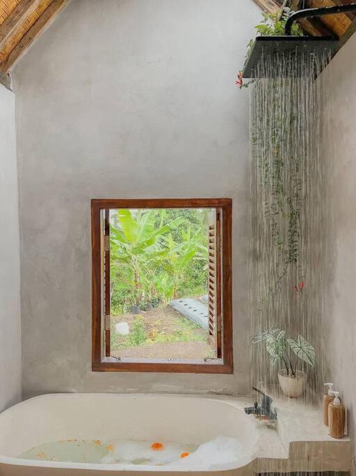 Photo of Bathroom in Penebel