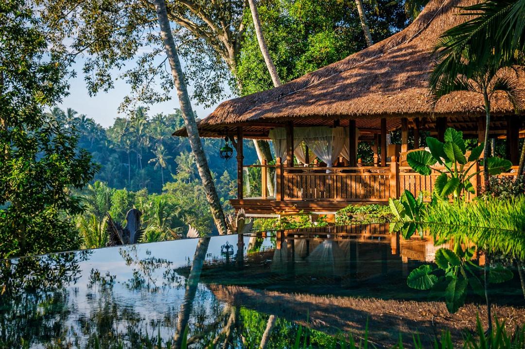 Photo of Others in Ubud