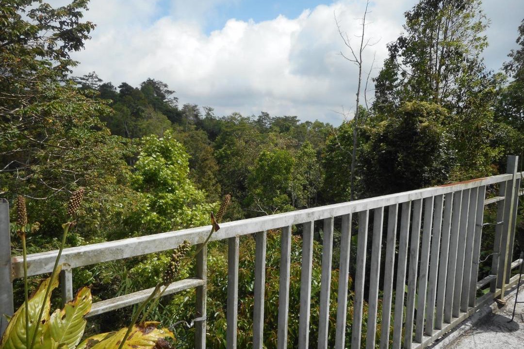 Photo of Patio Balcony in Besakih