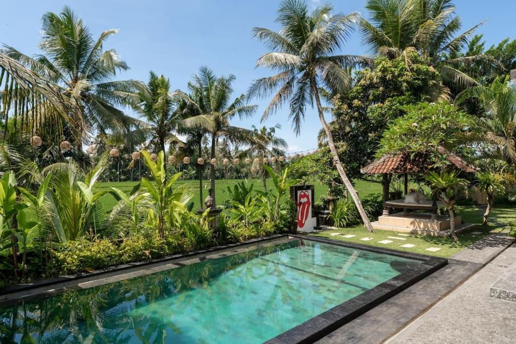 Photo of Others in Ubud