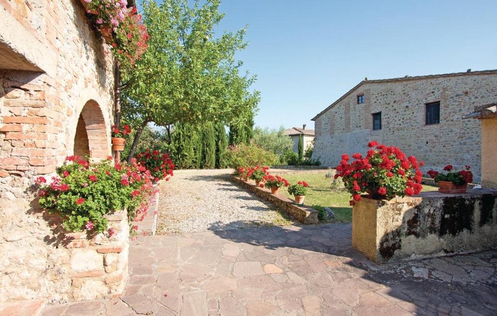 Photo of Others in Monteroni d'Arbia