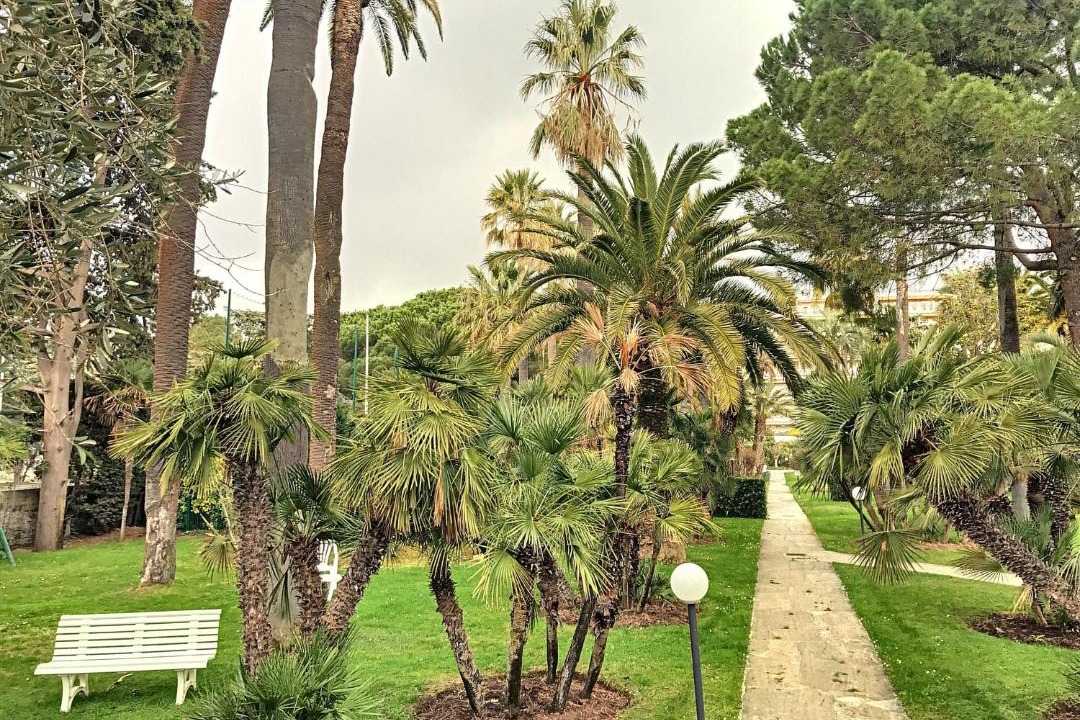 Photo of Others in Cannes