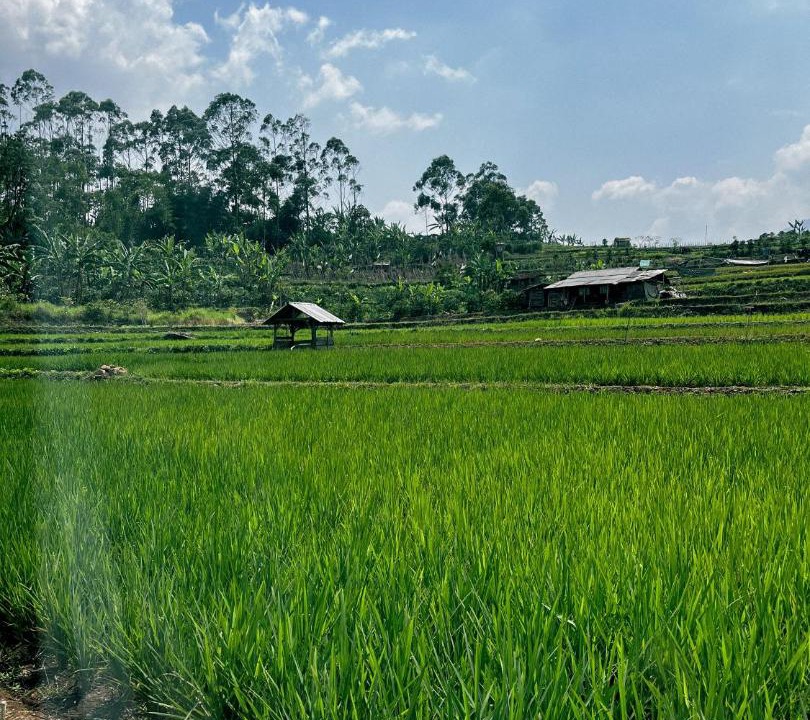 Photo of Others in Ciwidey