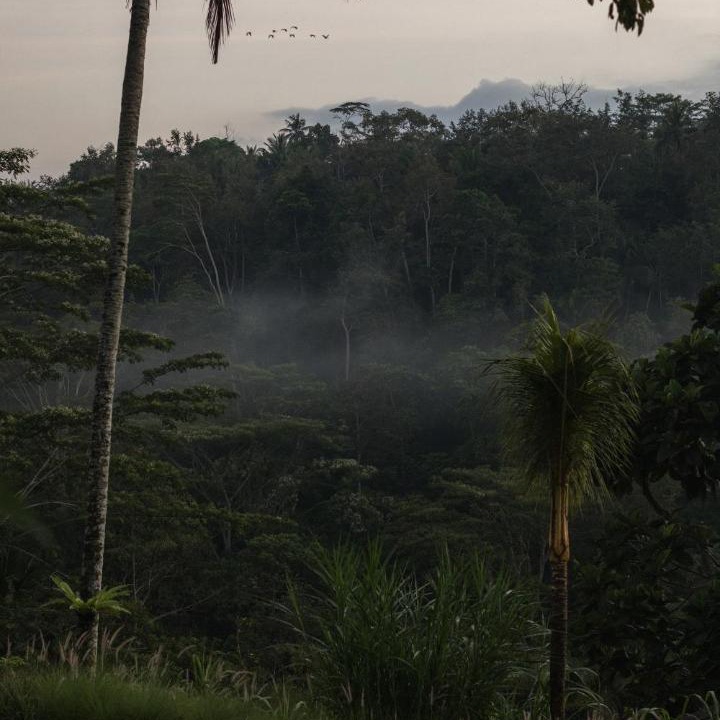 Photo of Others in Kedewatan